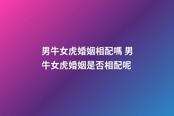 男牛女虎婚姻相配嗎 男牛女虎婚姻是否相配呢-第1張-觀點-玄機派